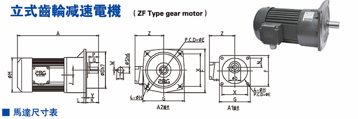 立式齿轮减速电机
